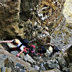 Guided scrambling bristly ridge